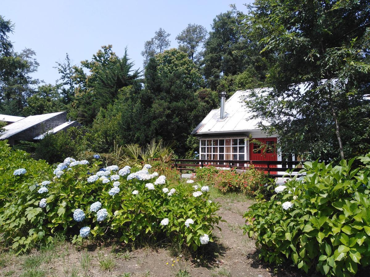 Ruca Mahuida Holiday home