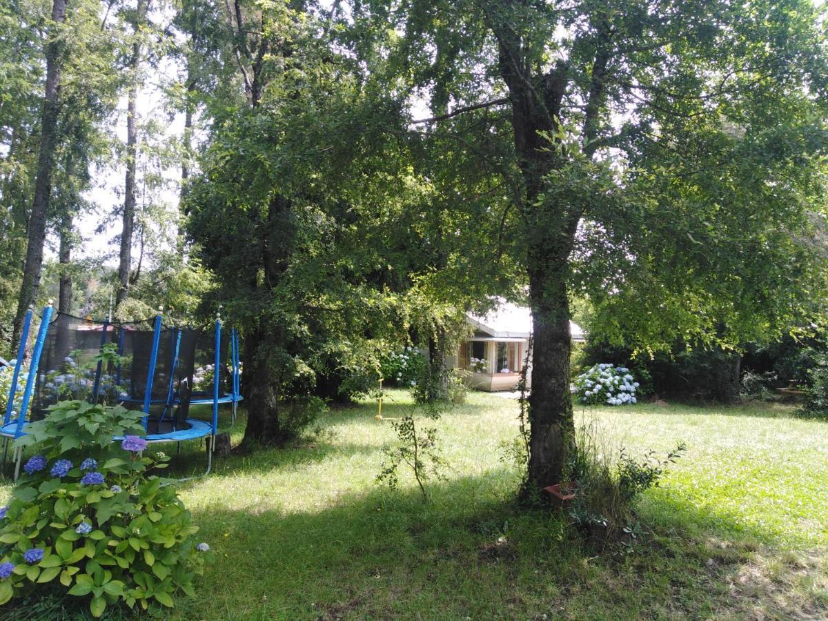 Ruca Mahuida Holiday home