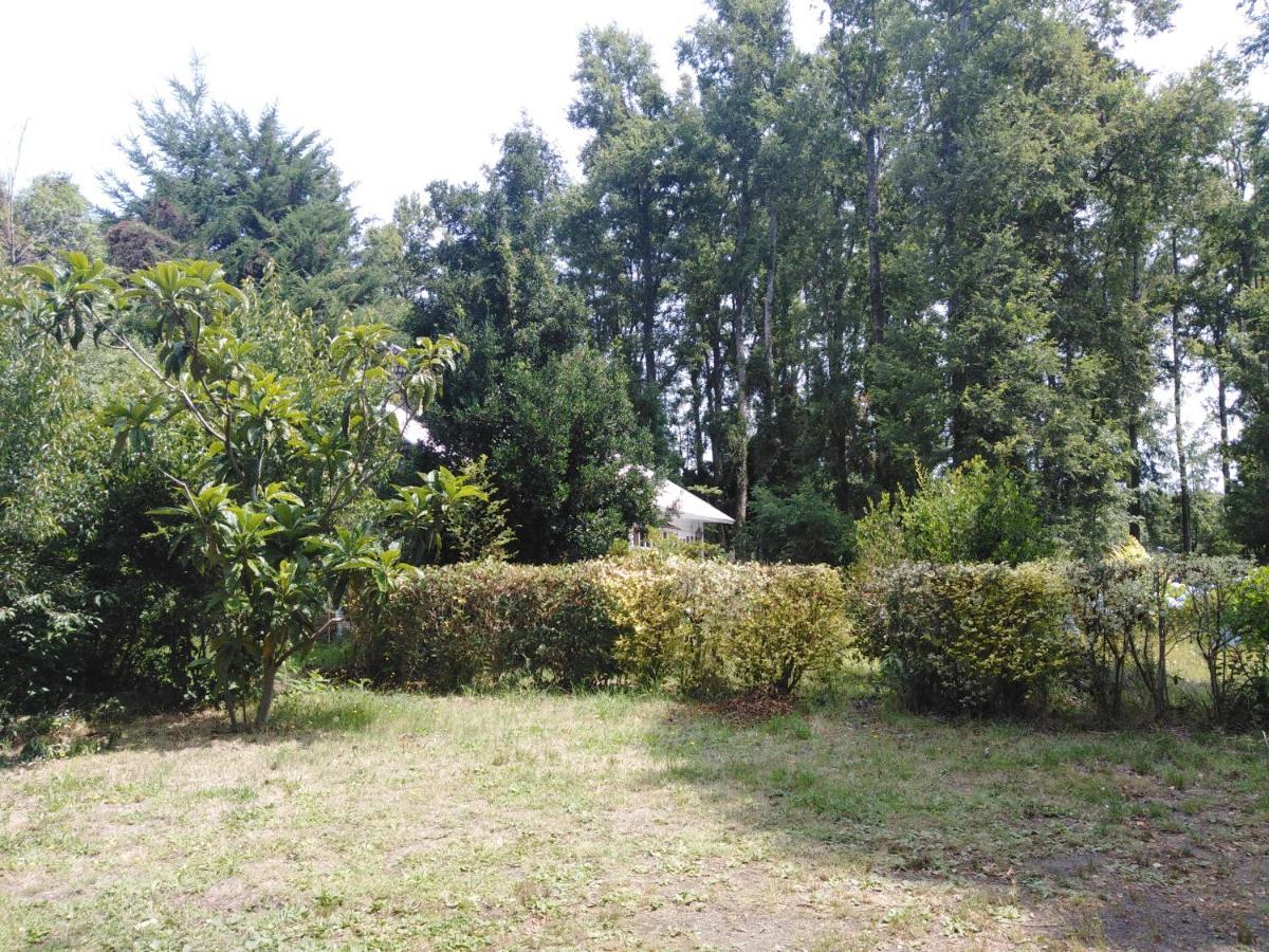 Ruca Mahuida Holiday home Pucon
