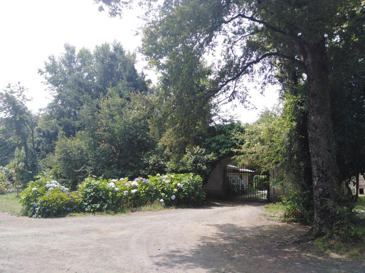 Ruca Mahuida Holiday home