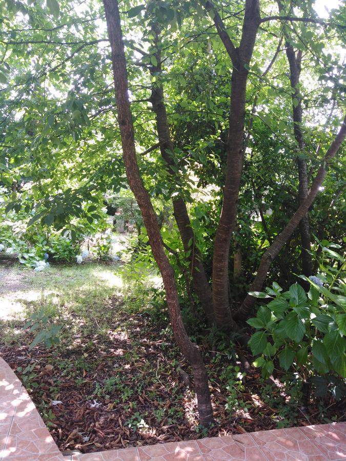 Holiday home Ruca Mahuida