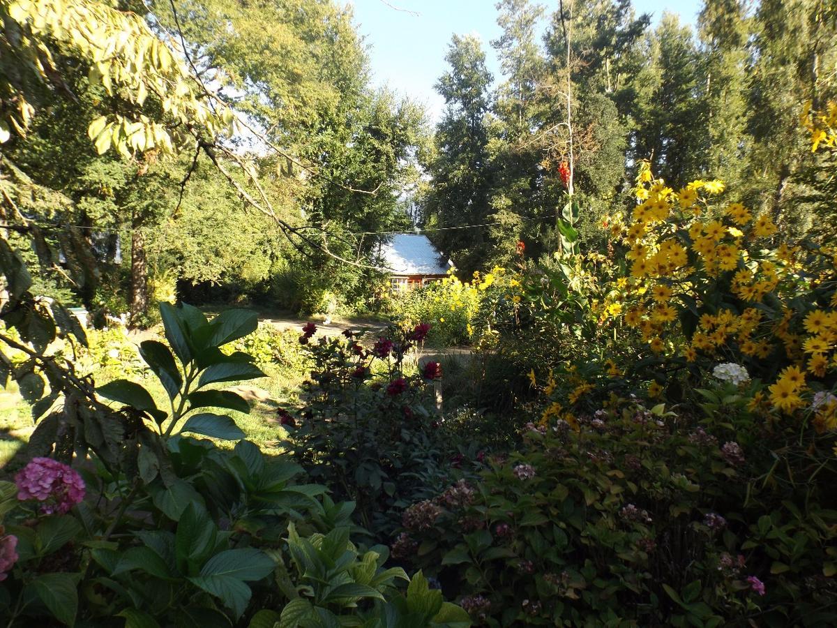 Casa de Férias Ruca Mahuida